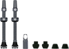 Tubeless Valve Stems - Gray - Lutzka's Garage