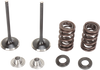 Intake Valve Kit