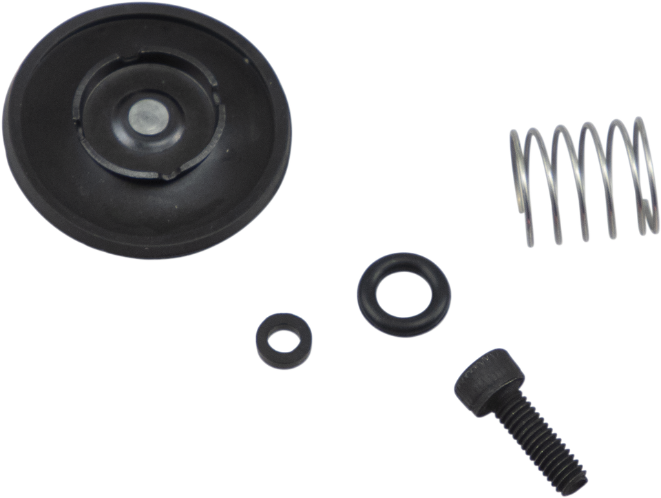 Acceleration Pump Rebuild Kit - Suzuki