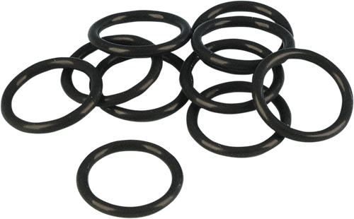 Cam Position Sensor O-Ring