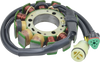 Stator - Ski-Doo