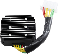 RICK'S MOTORSPORT ELECTRIC