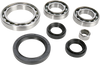 Differential Bearing/Seal Kit - Yamaha - Rear