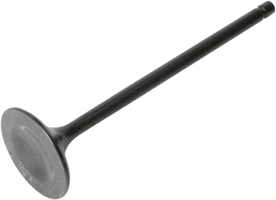 Exhaust Valve