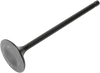 Exhaust Valve