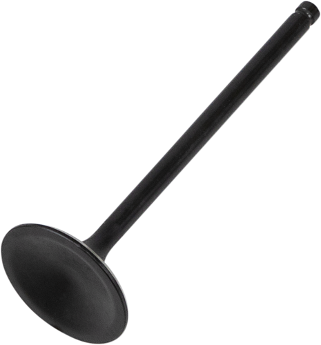 Intake Valve