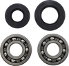 Main Bearing Kit