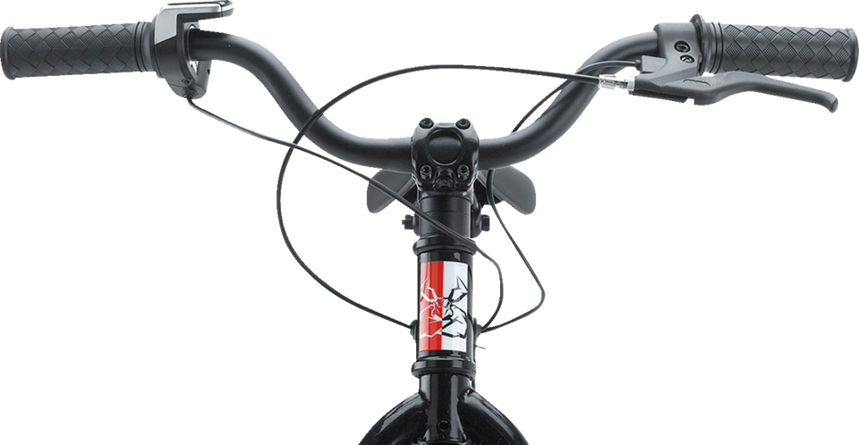 RS-16 E-Bike - Agroid - Balance