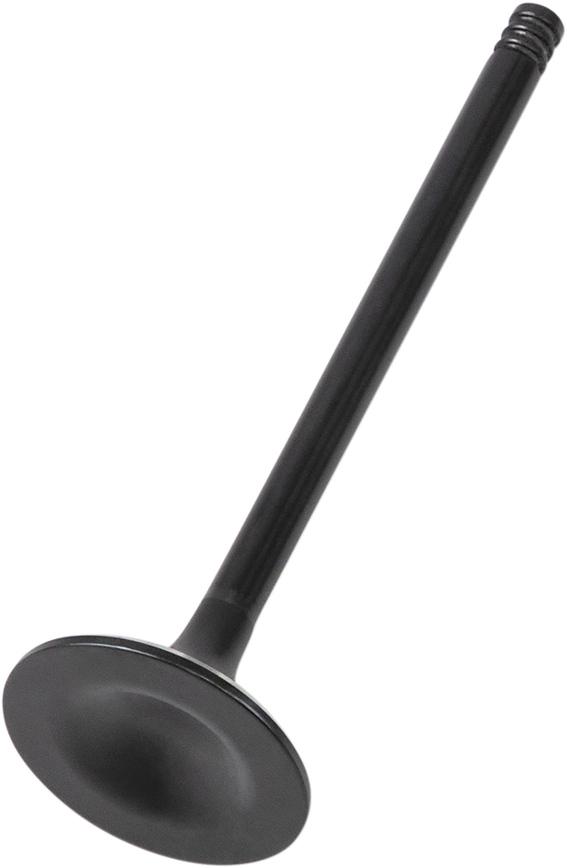 Exhaust Valve