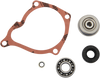 Water Pump Rebuild Kit - Polaris