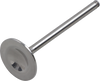Exhaust Valve
