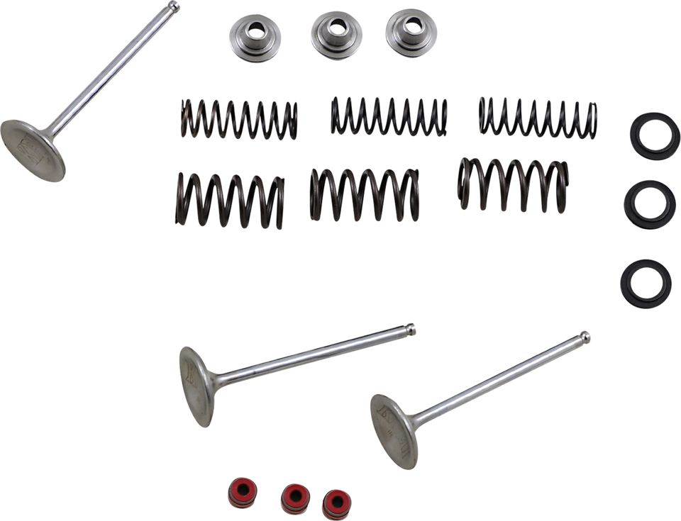 Intake Valve Kit