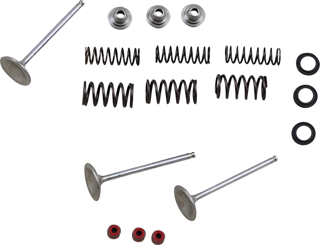 Intake Valve Kit