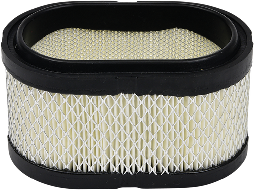 Replacement Air Filter - Polaris
