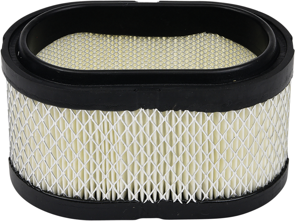 Replacement Air Filter - Polaris
