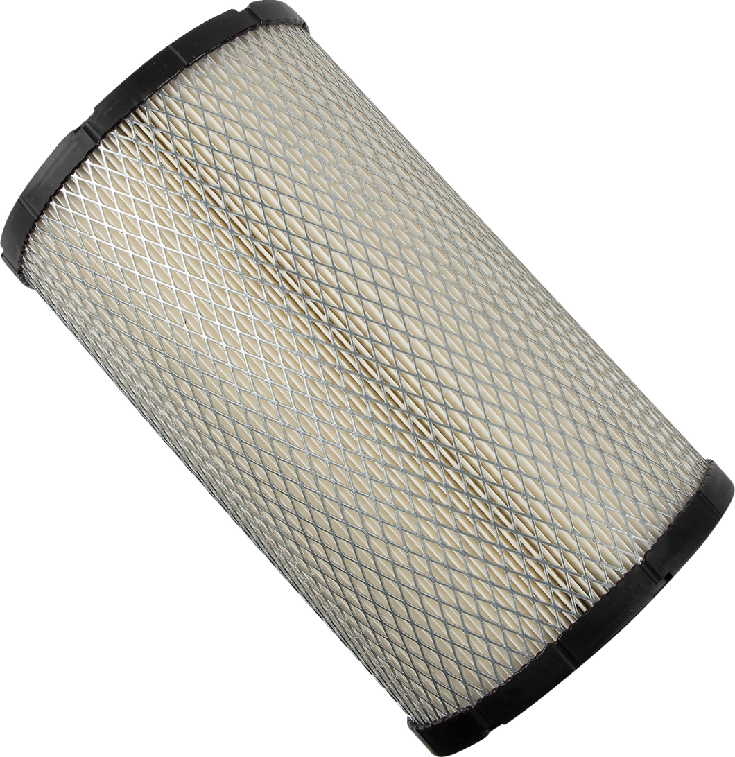 Replacement Air Filter - Polaris