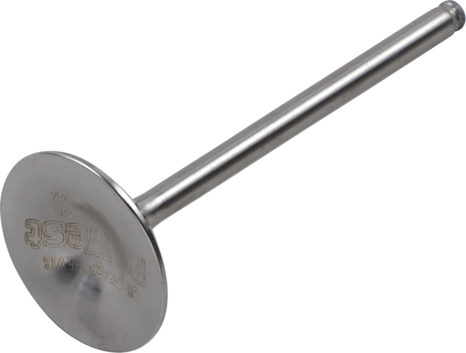 Exhaust Valve