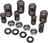 Spring Kit - .445"