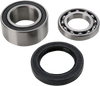 Chain Case Bearing and Seal Kit