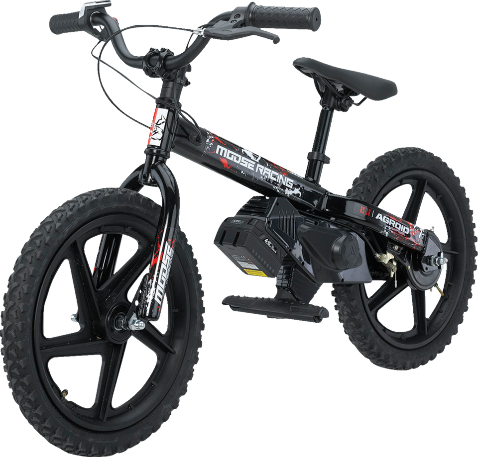 RS-16 E-Bike - Agroid - Balance