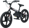 RS-16 E-Bike - Agroid - Balance