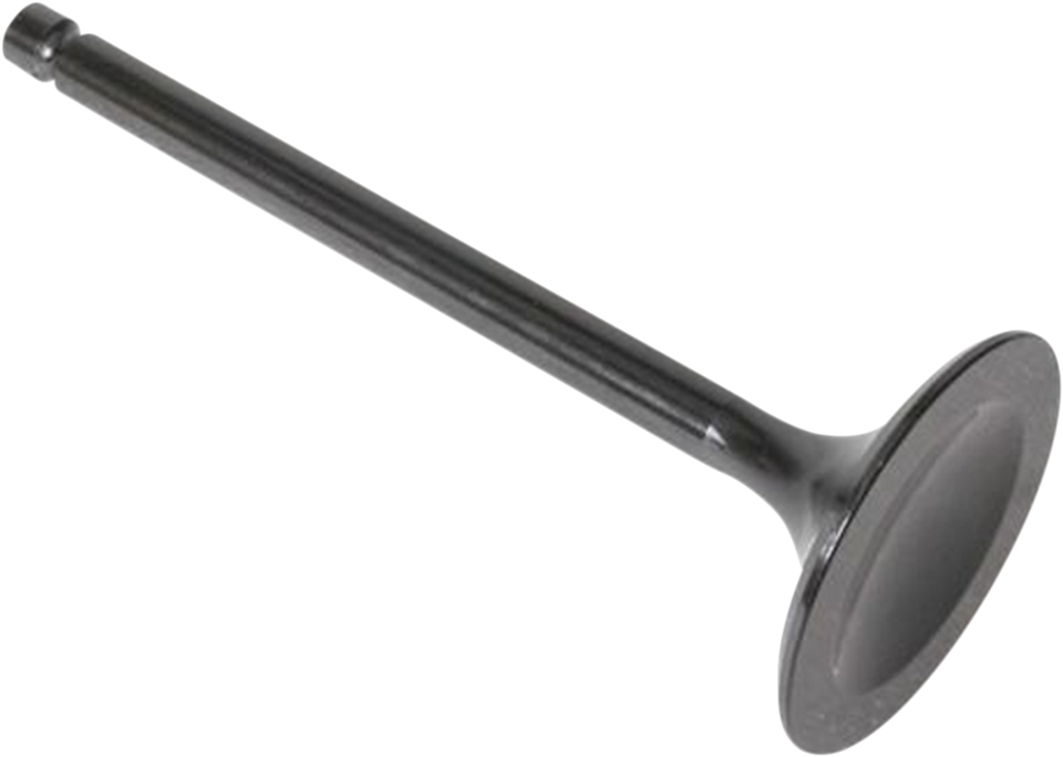 Intake Valve