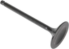 Intake Valve