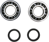Crank Bearing and Seal Kit - Suzuki