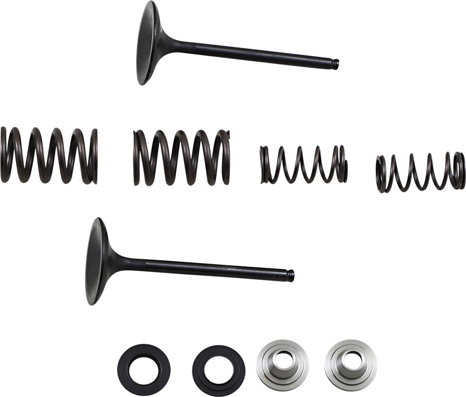 Intake Valve Kit