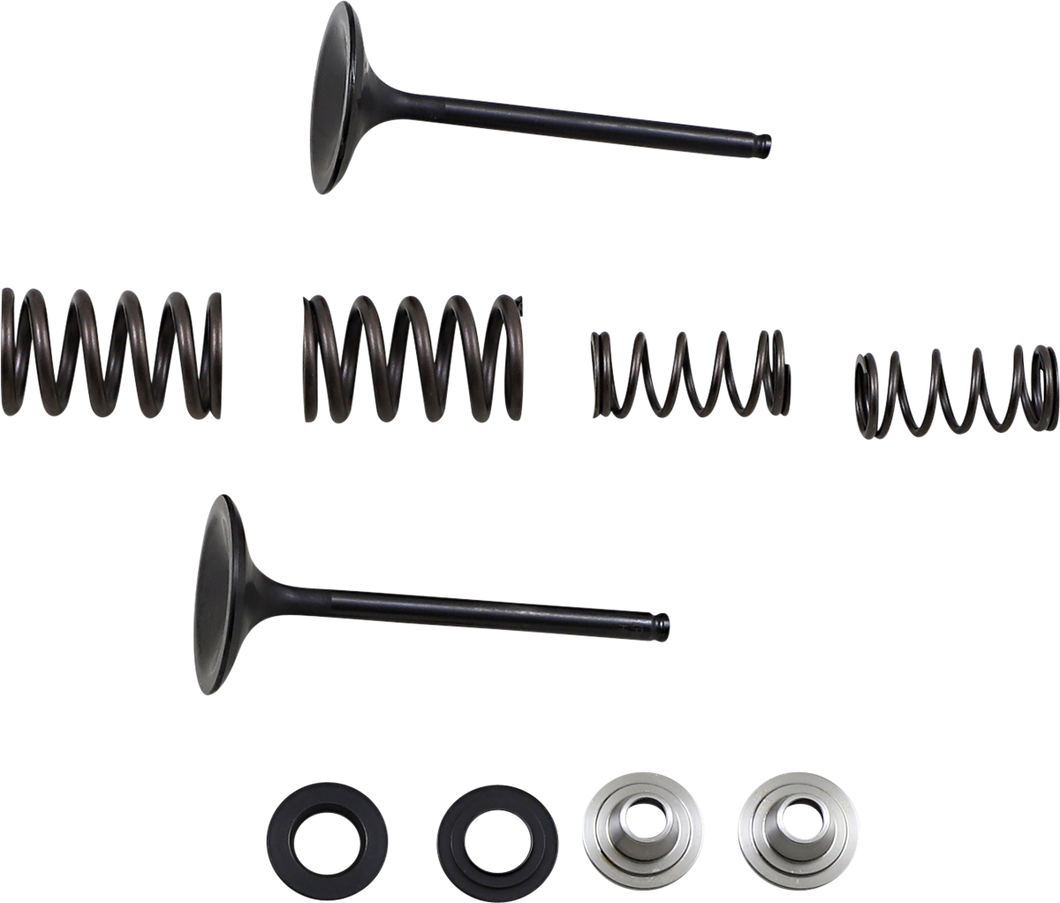 Intake Valve Kit