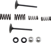 Intake Valve Kit