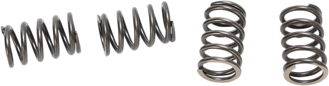 HD Clutch Springs