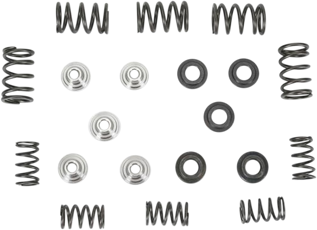Valve Spring Kit