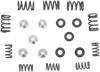 Valve Spring Kit