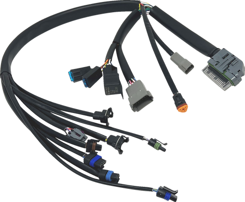 EFI Harness - 04-05 FLH/FLT