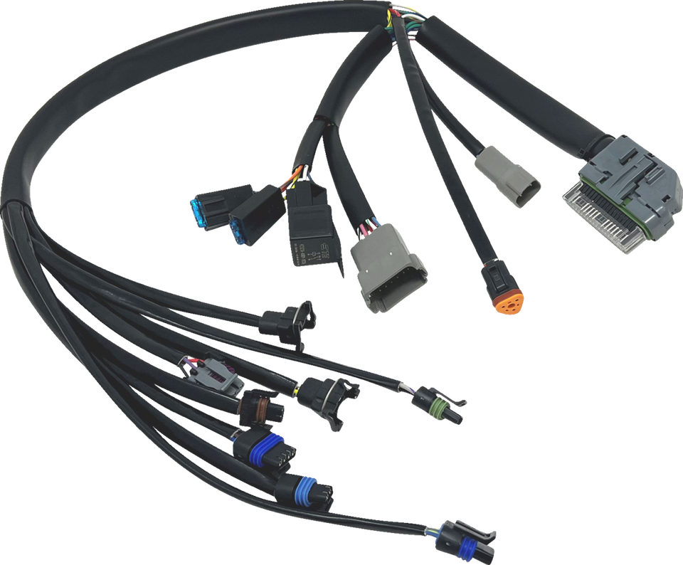 EFI Harness - 04-05 FLH/FLT
