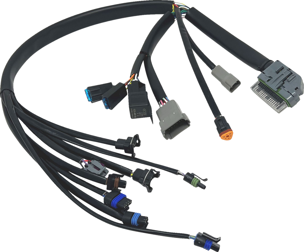 EFI Harness - 04-05 FLH/FLT