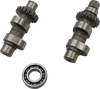 Cam Set - TW60 - Chain Drive - Twin Cam