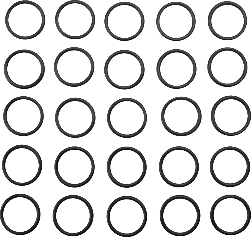 Lower Pushrod O-Ring