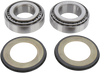 Steering Stem Bearing Kit