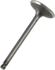 Intake Valve - Yamaha