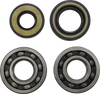 Main Bearing Kit