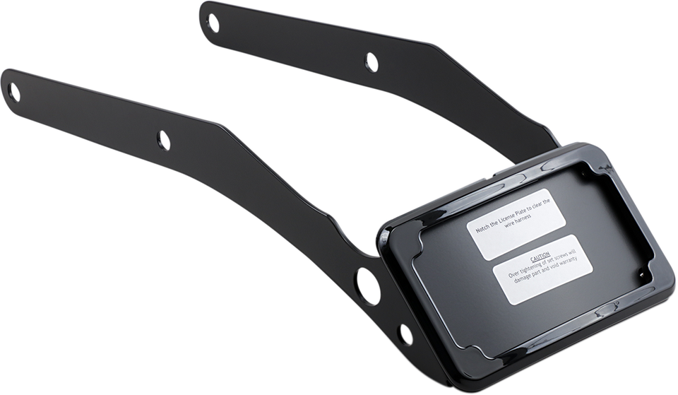 LP Plate Frame & Mount with Tag Light - FLSL/FXBB - Black - Lutzka's Garage