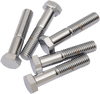 Bolts - Hex-Head - Chrome - 1/2"-13 x 2-3/4" - Lutzka's Garage