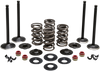 Complete Valve Kit - Evolution/883