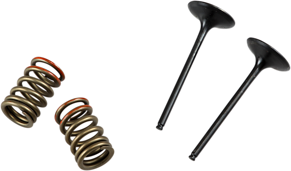 Valve and Spring Kit - Intake - Kawasaki
