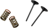 Valve and Spring Kit - Intake - Kawasaki