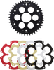 Edge Kit - Rear - Ducati - 42-Tooth - Lutzka's Garage