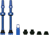 Tubeless Valve Stems - Blue - Lutzka's Garage