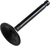 Exhaust Valve